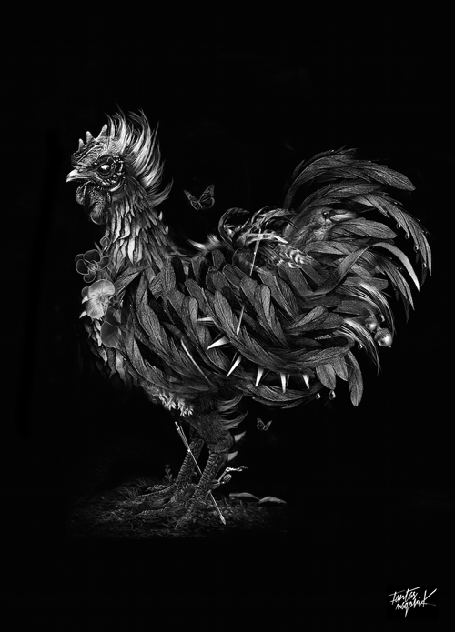 Fantasmagorik Ayam Cemani