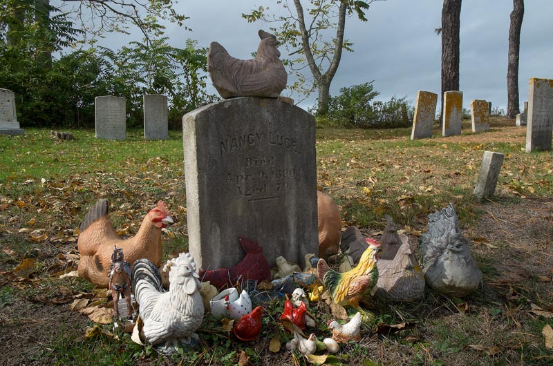 La tomba di nancy Luce, signora delle galline