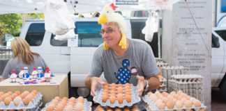 Come diventare piccoli imprenditori agricoli e vendere le uova del proprio pollaio | Tuttosullegalline.it