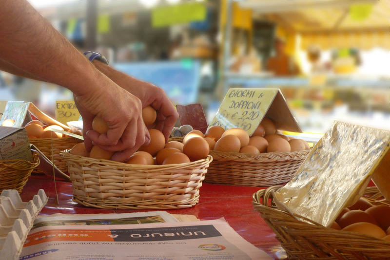 Registrazione come imprenditore agricolo per poter fare vendita diretta delle uova