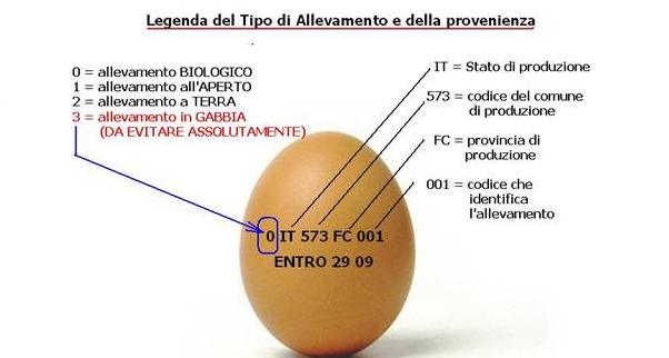 Come leggere etichetta uova biologiche