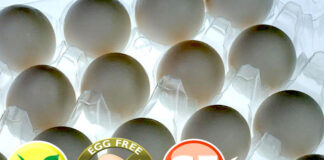 L'uovo sodo vegano è un brevetto commerciale... ma non è un uovo! | Tuttosullegalline.it