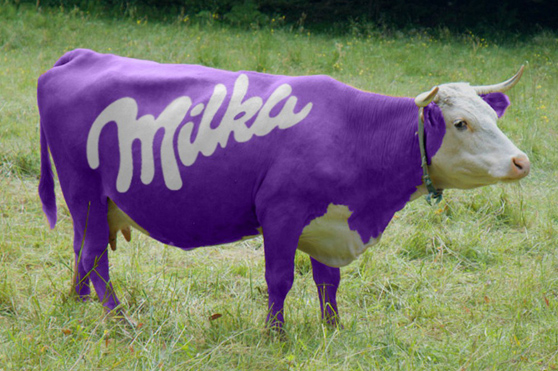 La famosa mucca viola della nota cioccolata Milka