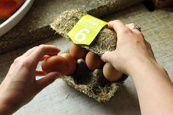 Straordinario esempio di packaging di uova 'vere': le 'Happy eggs' di Maja Szczypek nel portauovo di paglia.