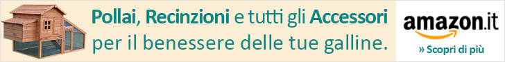 Pollai, Recinzioni e tutti gli Accessori, per il benessere delle tue galline