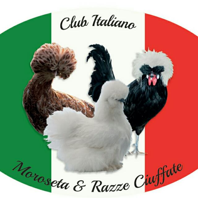 Club Italiano Ciuffate Ornamentali
