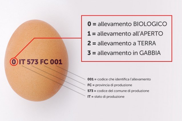 Come leggere l'etichetta delle uova