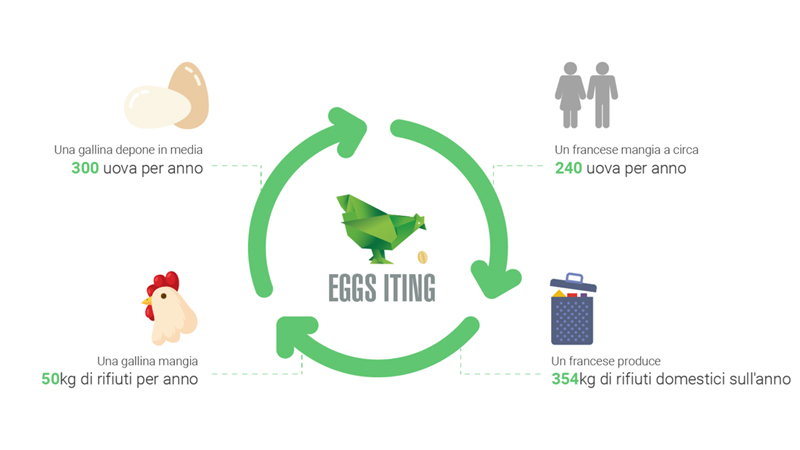 Circuito virtuoso di autoproduzione e autoconsumo di uova accompagnato dalla riduzione di rifiuti alimentari domestici