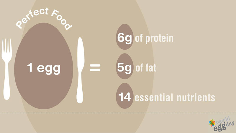 Uovo, alimento sano e nutriente