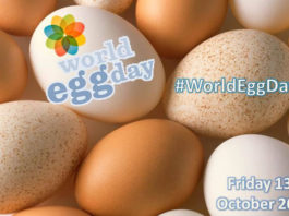 Giornata Mondiale dell'Uovo, World Egg Day | Tuttosullegalline.it