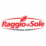 Galline ovaiole, Pollaio, Pulcini, Chioccia, Gallo, Ricette con Uova e Video divertenti di animali | Tuttosullegalline.it