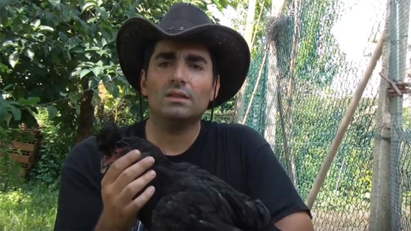 Andrea Mangoni, zoologo specializzato in avicoltura e genetica dei polli