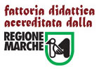 Fattoria di Campagna | Fattoria didattica e allevamento galline riconosciuta da Regione Marche