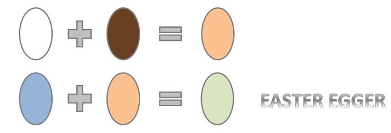 Scheme di ibridazione delle easter egger per ottenere l'uovo verde oliva dal colore più tenue