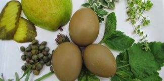 Olive Egger, gallina dalle uova verde oliva | Tuttosullegalline.it