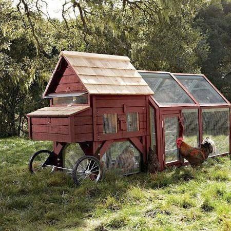 Chicken tractor, pollaio mobile con ruote americano
