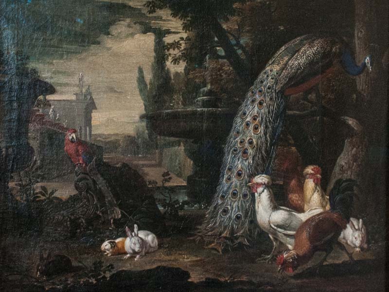 Animali in giardino (David de Coninck - 1642): un pappagallo (esotico) e alcuni esemplari di galline, pavoni e conigli (domestici)
