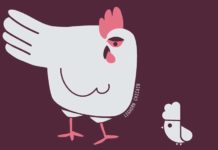 LEGHORN CHICKEN, linea di T-shirt e Felpe ambasciatrici della cultura avicola | Tuttosullegalline.it