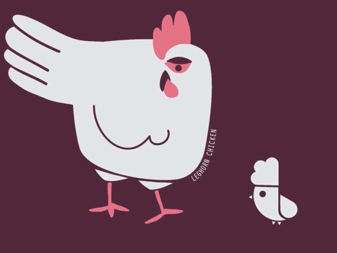 LEGHORN CHICKEN, linea di T-shirt e Felpe ambasciatrici della cultura avicola | Tuttosullegalline.it