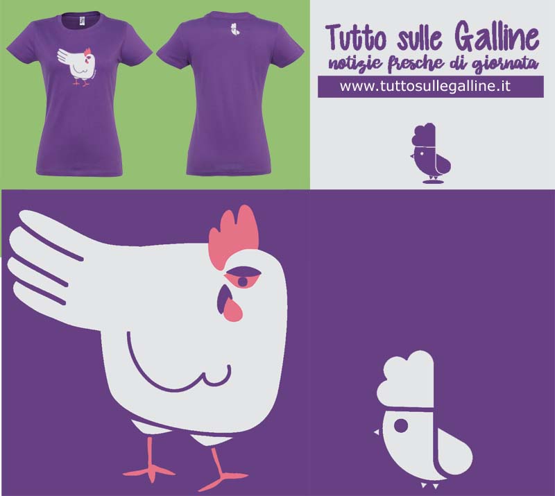 La linea LEGHORN CHICKEN inserita nel marketplace Etsy TuttoSulleGalline STORE