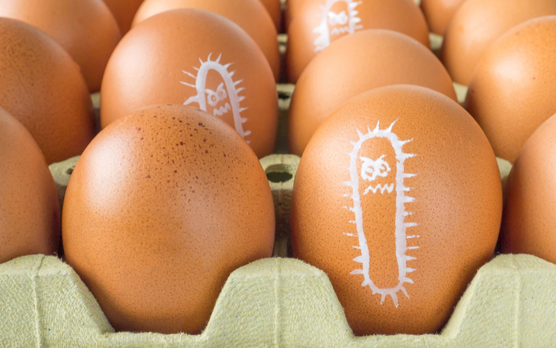 Pastorizzare le uova per abbattere la salmonella