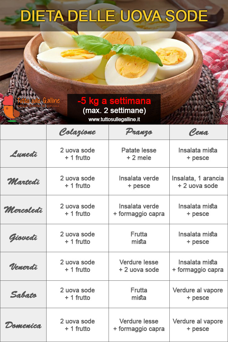 Tabella settimanale dieta delle uova sode | Tuttosullegalline.it