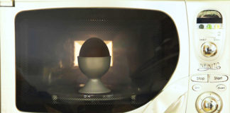 Uovo nel forno a microonde esplode | Tuttosullegalline.it