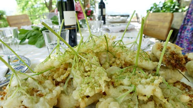 Fiori di sambuco fritti in pastella