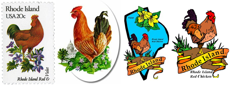 L'immagine simbolo della gallina Rhode Island su francobolli e immagini identità del territorio