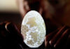 Wen Fuliang: l’artista cinese che trasforma i gusci d’uovo in incredibili opere d’arte (egg carving) | Tuttosullegalline.it