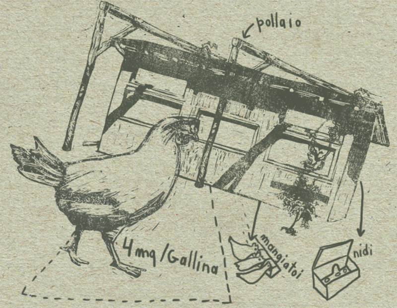 Il pollaio del progetto biologico L'uovo e la canapa | L'acquila