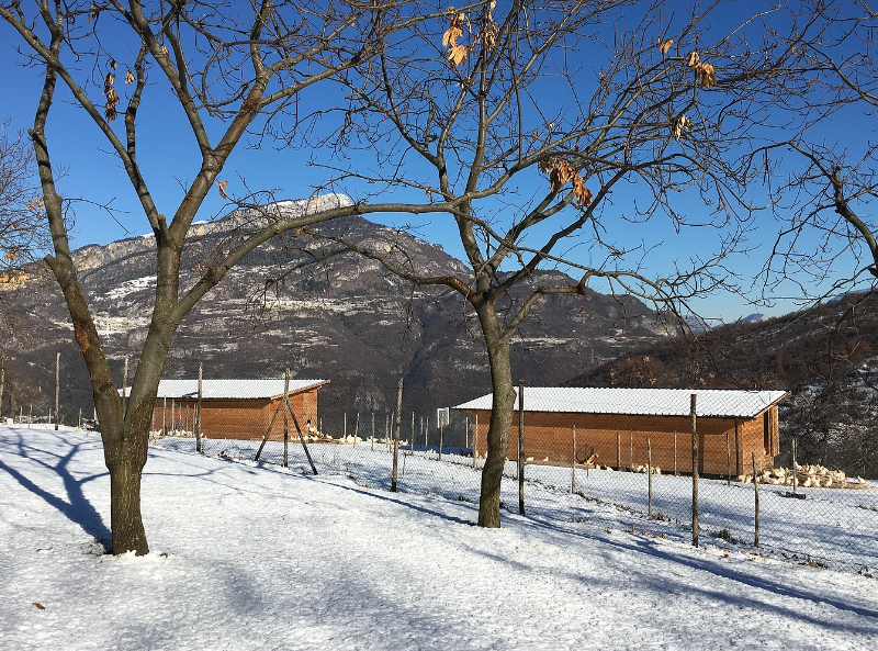 Uova di Montagna Bio - allevamento avicolo di galline ovaiole