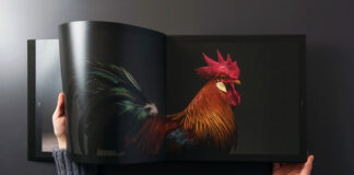 Progetto fotografico "CHICken", l'eleganza (naturale) di galli e galline | Tuttosullegalline.it