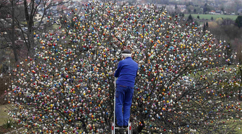 Albero di Pasqua di Saalfeld, addobbato con uova colorate