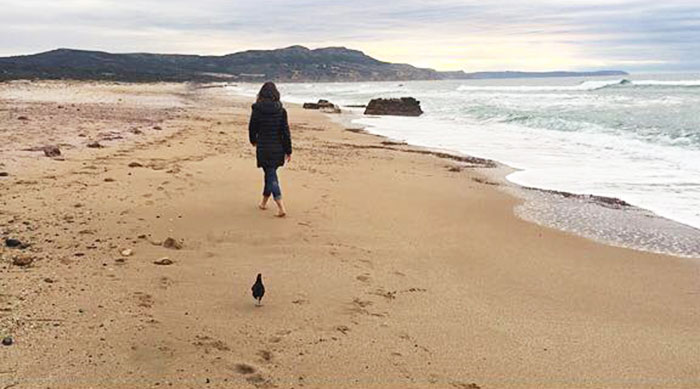 La gallina Camilla a passeggio sulla spiaggia con Francesca