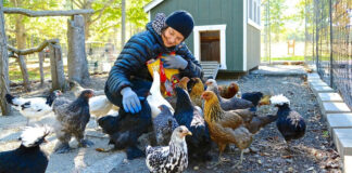 Isabella Rossellini e le sue galline: conoscenza e salvaguardia | Tuttosullegalline.it