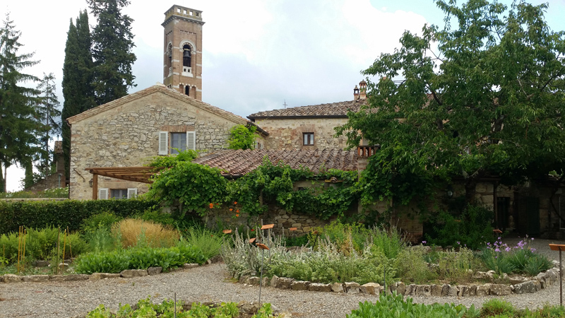 L'area adibita alla coltivazione delle piante aromatiche