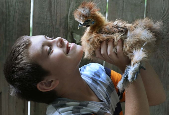 L’esperienza di pet therapy con galline di Anthony affetto da autismo e da disturbo ossessivo compulsivo (OCD).