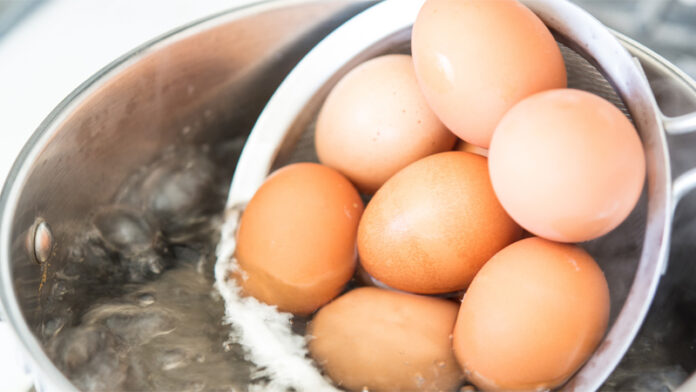 L'uovo bollito perfetto (nelle sue 3 varianti): alla coque, bazzotto e sodo | Tuttosullegalline.it