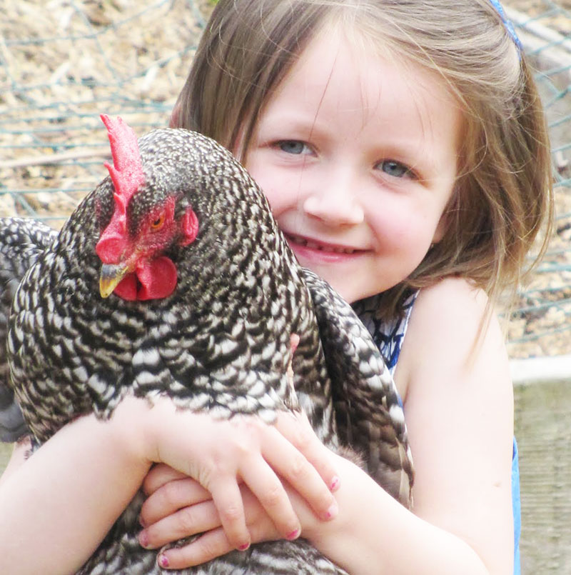 Bambini e galline, crescere con un pollaio domestico