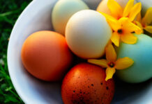 Colore del guscio delle uova di gallina: da cosa dipende e quali sono | Tuttosullegalline.it