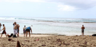 Chicken's beach: alle Hawaii in spiaggia con le galline (Ke'e beach) | Tuttosullegalline.it