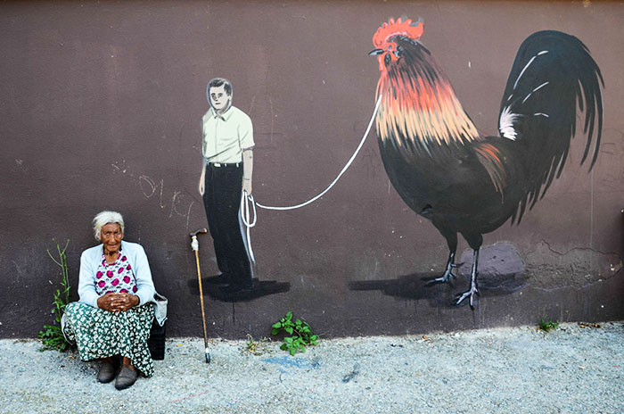 Murales di galli e galline