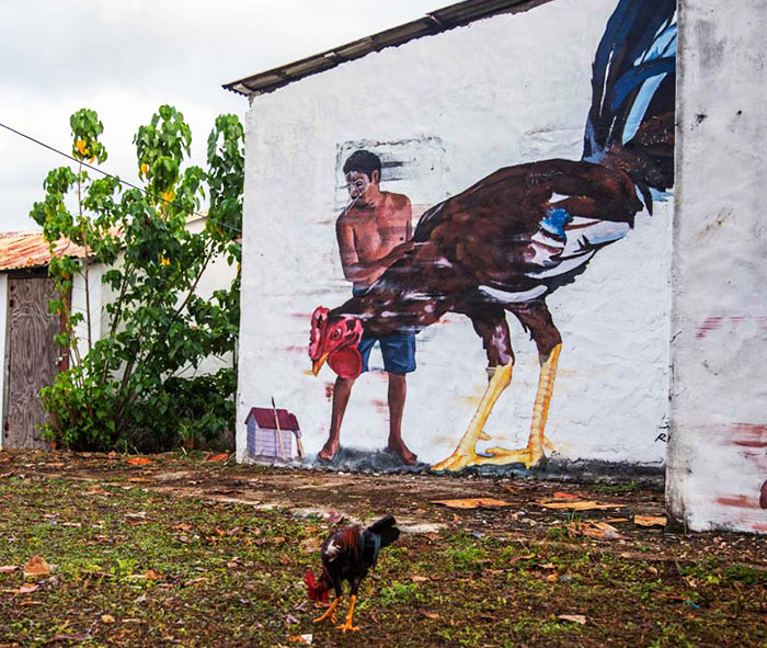 Murales di galli e galline