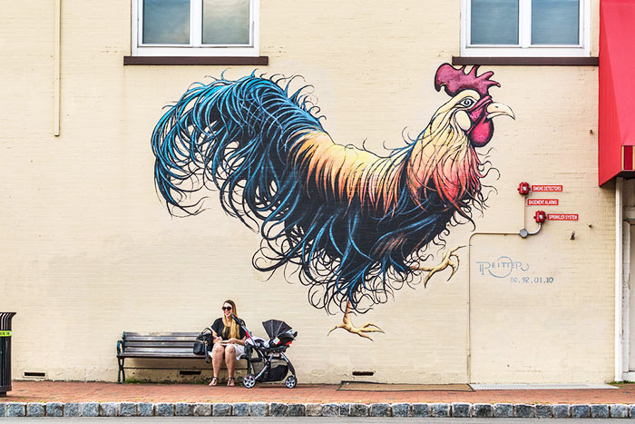 murales di galli e galline