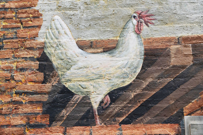 Murales di galli e galline