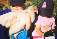 Video divertenti (e teneri) di bambini e galline | Tuttosullegalline.it