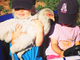 Video divertenti (e teneri) di bambini e galline | Tuttosullegalline.it