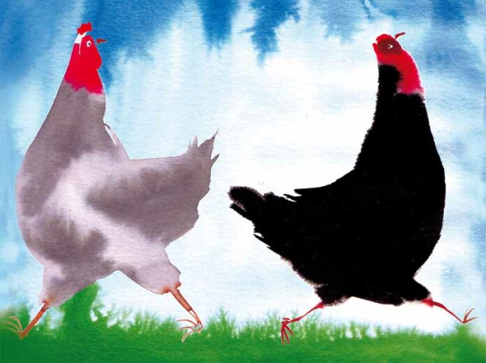 La favola delle due galline di Beppe Fenoglio (illustrata da Alessandro Sanna) | Tuttosullegalline.it