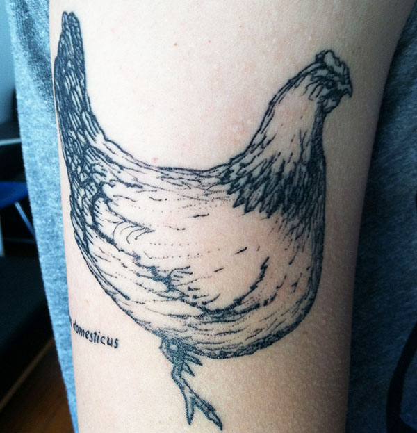 tatuaggio di gallina